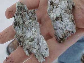 Vermiculate